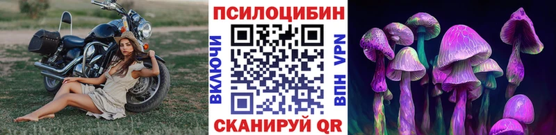 Псилоцибиновые грибы мухоморы  Терек 