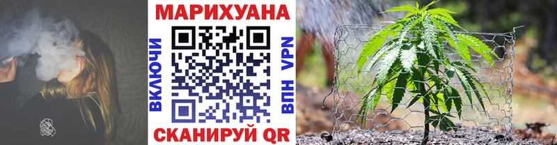 купить Терек Канабис семена